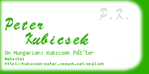 peter kubicsek business card